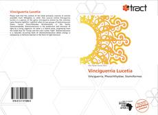 Capa do livro de Vinciguerria Lucetia 