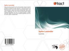 Buchcover von Spike Lavender