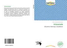 Buchcover von Vinconate