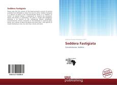 Seddera Fastigiata kitap kapağı