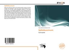 Spikebuccinum kitap kapağı