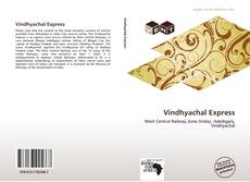 Vindhyachal Express kitap kapağı