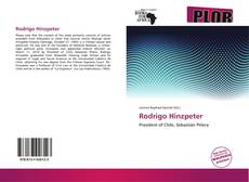 Buchcover von Rodrigo Hinzpeter