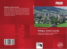 Bookcover of Wilkęsy, Kutno County