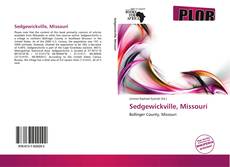 Sedgewickville, Missouri kitap kapağı