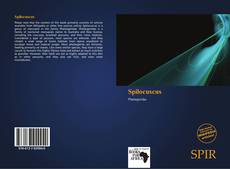 Spilocuscus kitap kapağı