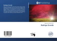 Capa do livro de Rodrigo Grande 