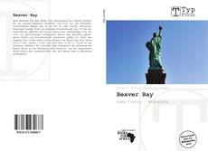 Capa do livro de Beaver Bay 