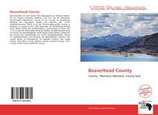 Beaverhead County的封面