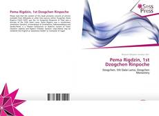 Pema Rigdzin, 1st Dzogchen Rinpoche kitap kapağı