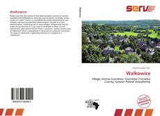 Bookcover of Walkowice