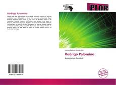 Capa do livro de Rodrigo Palomino 
