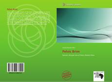Buchcover von Pelvic Brim