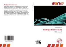Capa do livro de Rodrigo Ríos Lozano 