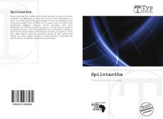 Bookcover of Spilotantha