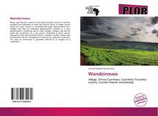 Bookcover of Wandzinowo