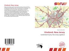 Bookcover of Vineland, New Jersey
