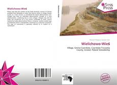 Wielichowo-Wieś kitap kapağı