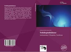 Buchcover von Sedoheptulokinase