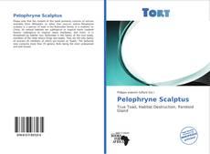 Buchcover von Pelophryne Scalptus