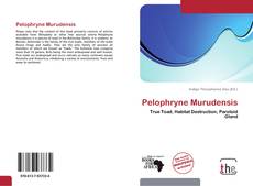 Pelophryne Murudensis kitap kapağı