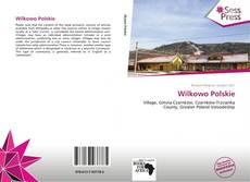 Wilkowo Polskie kitap kapağı
