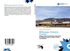 Bookcover of Wilkowyja, Gniezno County