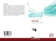 Capa do livro de TeamLab 