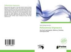 Capa do livro de Pellasimnia Improcera 