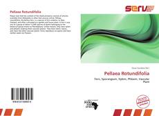 Pellaea Rotundifolia kitap kapağı