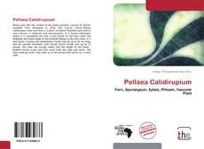 Pellaea Calidirupium kitap kapağı