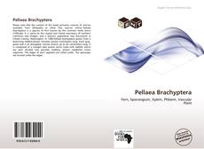 Buchcover von Pellaea Brachyptera