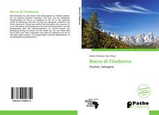 Capa do livro de Becco di Filadonna 