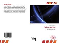 Bookcover of Spinacanthus