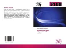 Capa do livro de Spinacaropus 