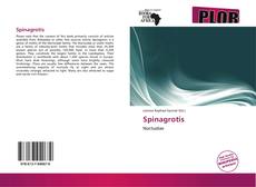 Capa do livro de Spinagrotis 