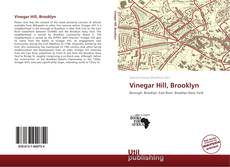 Vinegar Hill, Brooklyn kitap kapağı