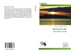 Capa do livro de Becharof Lake 