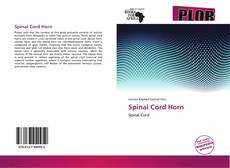 Buchcover von Spinal Cord Horn
