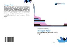 Vinegar Pond kitap kapağı