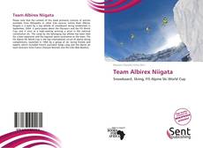 Copertina di Team Albirex Niigata