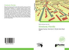 Capa do livro de Vineland, Florida 