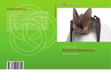 Bookcover of Bechsteinfledermaus