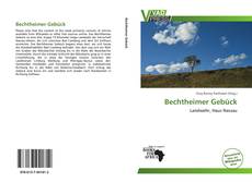 Bookcover of Bechtheimer Gebück