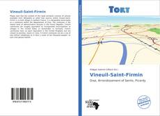 Portada del libro de Vineuil-Saint-Firmin