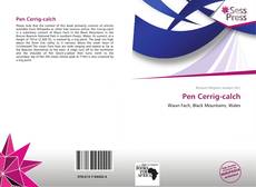 Buchcover von Pen Cerrig-calch