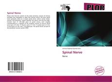 Borítókép a  Spinal Nerve - hoz
