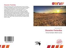 Bookcover of Osowiec-Twierdza