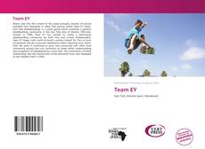 Team EY kitap kapağı