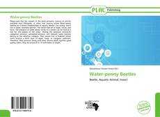 Couverture de Water-penny Beetles